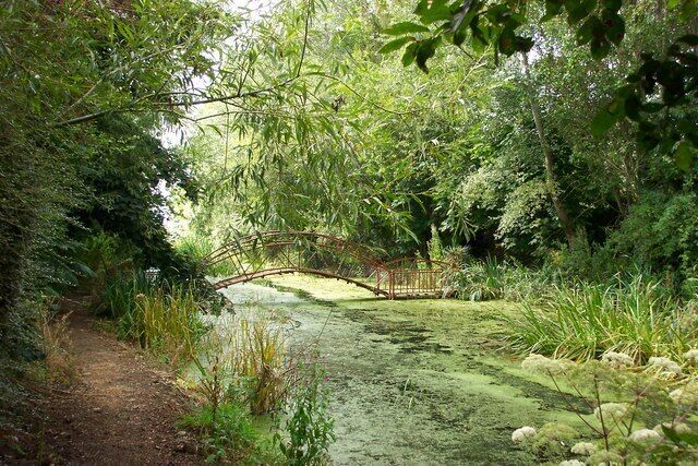 Town Tree Farm nature reserve
