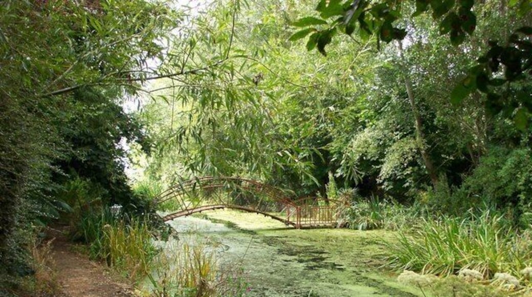 Town Tree Farm nature reserve