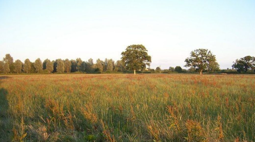 Evening walk along the Parrett Trail