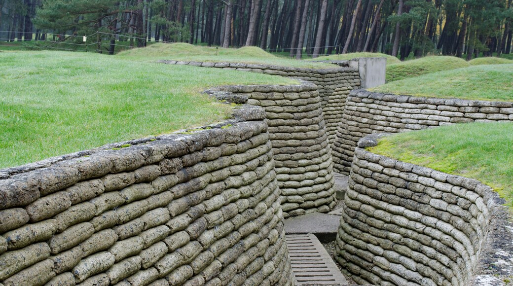 Reconstructed trenches made using concrete moulded sand bags