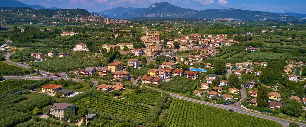 A town with a prominent church, vineyards, and wind turbines in the background.