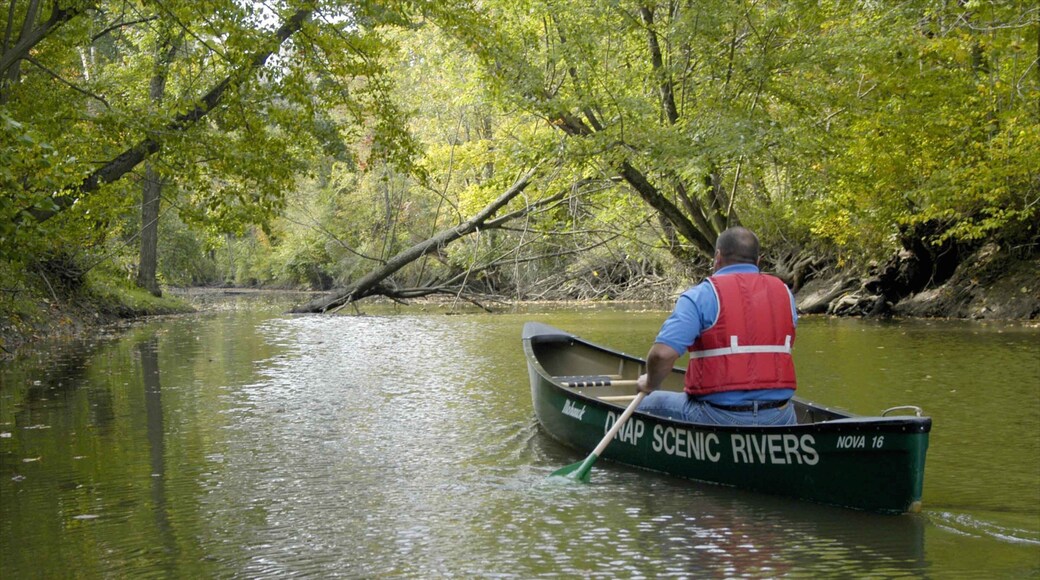Canton som viser en flod eller et vandløb, skove og kajaksejlads eller kanosejlads
