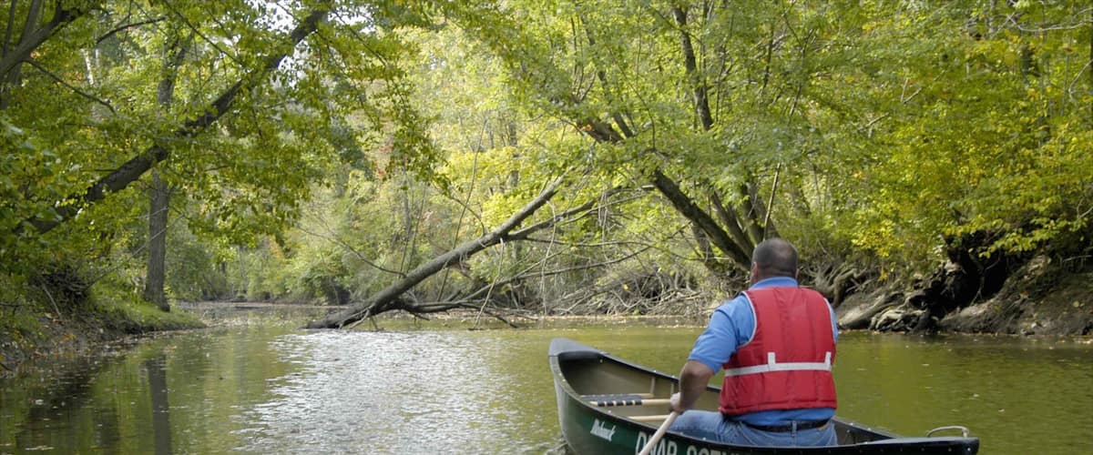 A man in a canoe on a river surrounded by trees.