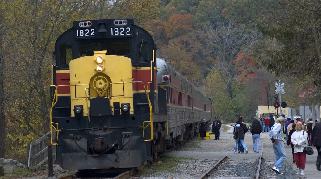 Canton og byder på jernbanegenstande såvel som en stor gruppe mennesker