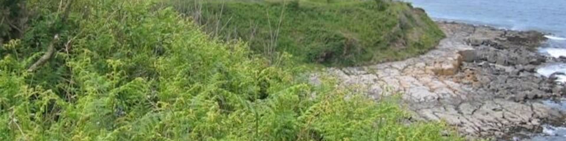 Penrhyn Headland This small headland, which protects Traeth Bychan to the left, is called Penrhyn. The ruined building doesn't look ancient, so may be a wartime relic? In the far distance is Moelfre with its lifeboat station and attendant island of Ynys Moelfre.