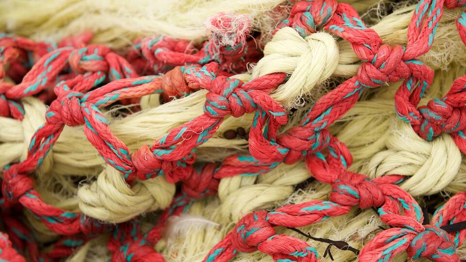 A close-up of a tangled mix of red and white ropes.