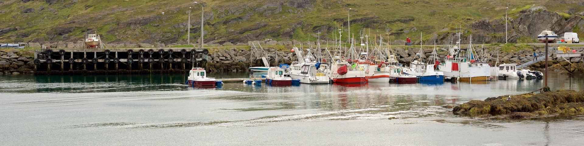 Skardsvag mostrando uma marina, cenas tranquilas e canoagem