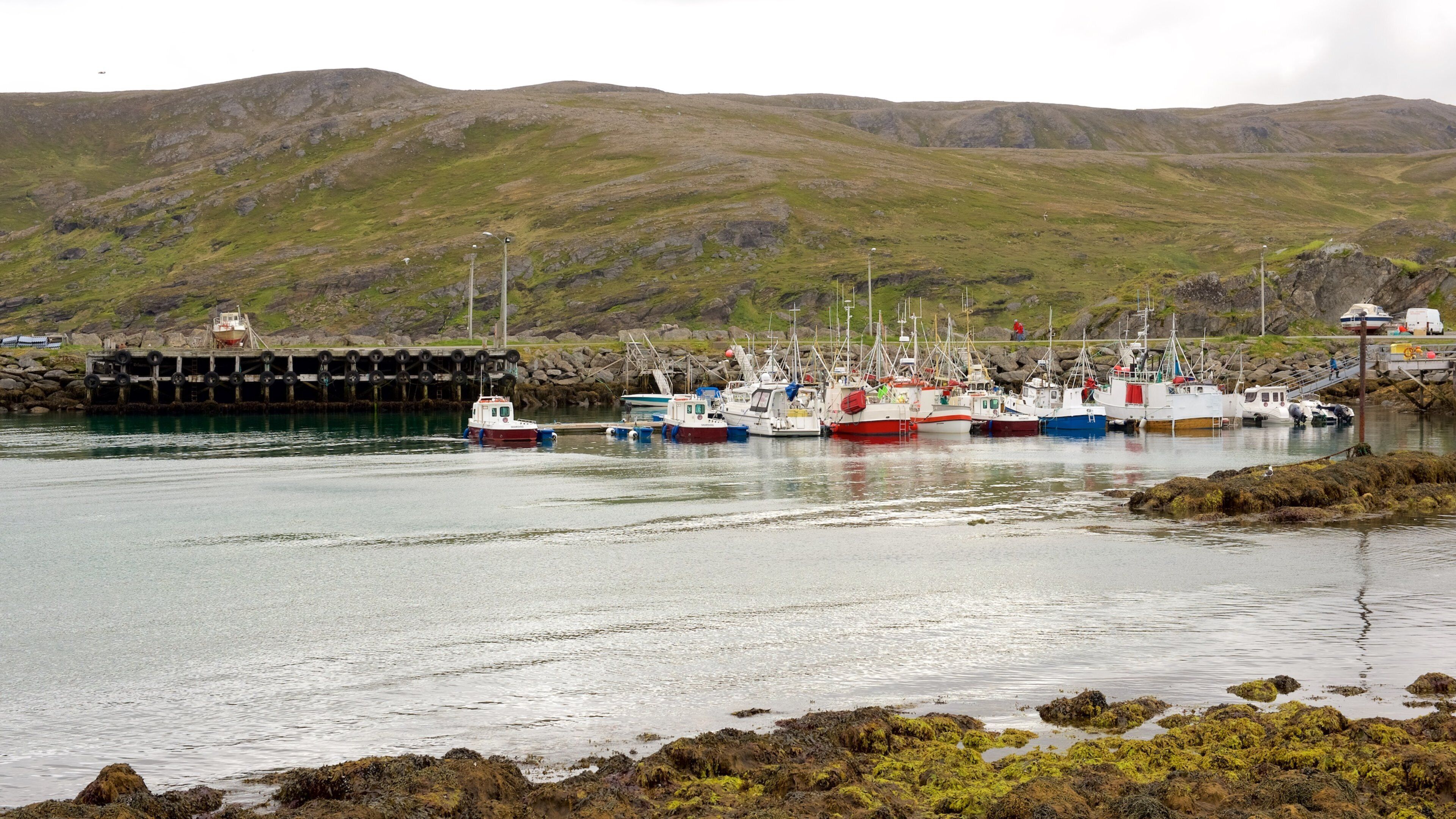 A harbor with several fishing boats docked, rocky shore, and a mountainous backdrop.