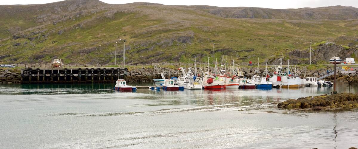A harbor with several fishing boats docked, rocky shore, and a mountainous backdrop.