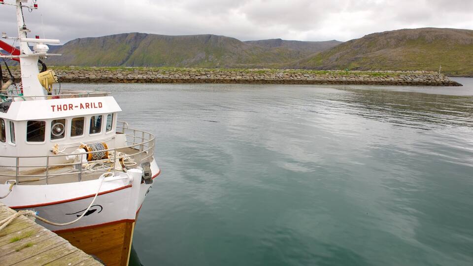 A boat named THOR-ARILD docked at a pier with a mountainous landscape in the background.