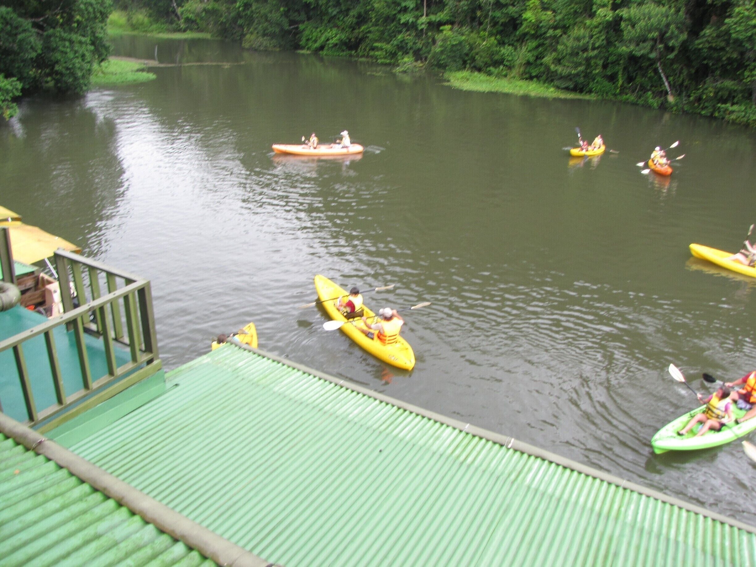 Jungle Land Adventures - you may choose to kayak, swim or go fishing after you spend some time exploring the rain forest for wild life!   www.panamaroadrunner.com