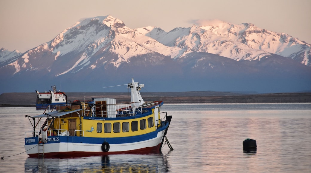 Puerto Natales is a city in Chilean Patagonia. It is the capital of both the commune of Natales and the province of Última Esperanza, It is located at the opening of Última Esperanza Sound and was originally inhabited by the Kawésqar or Alacaluf people and the Aoniken or Tehuelche people.