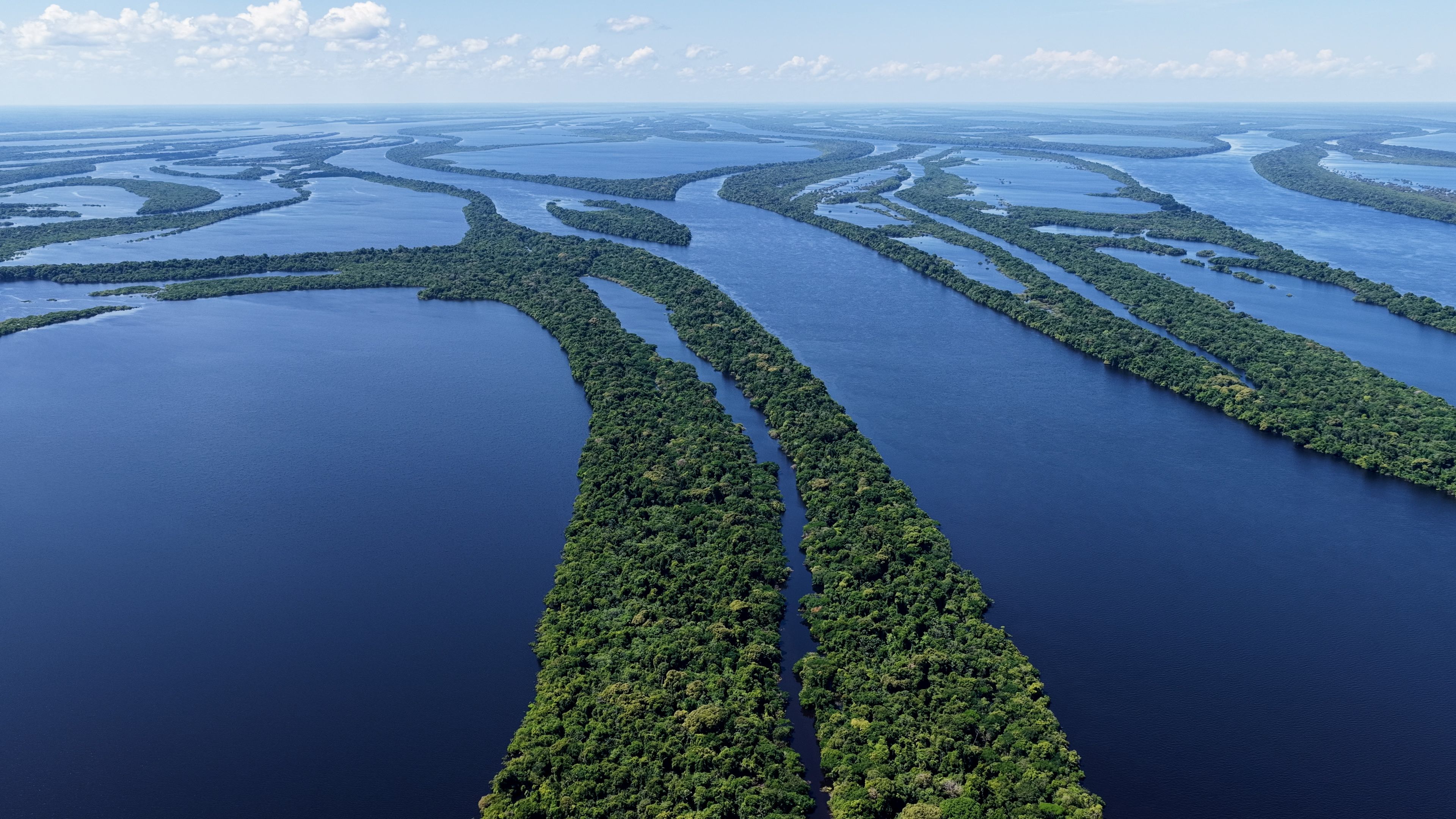 A vast network of water channels surrounded by dense green vegetation.