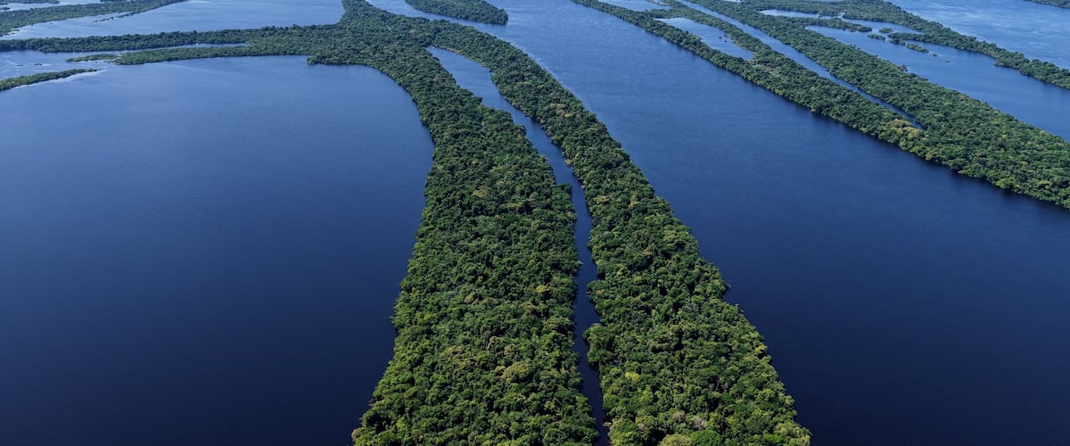 A vast network of water channels surrounded by dense green vegetation.