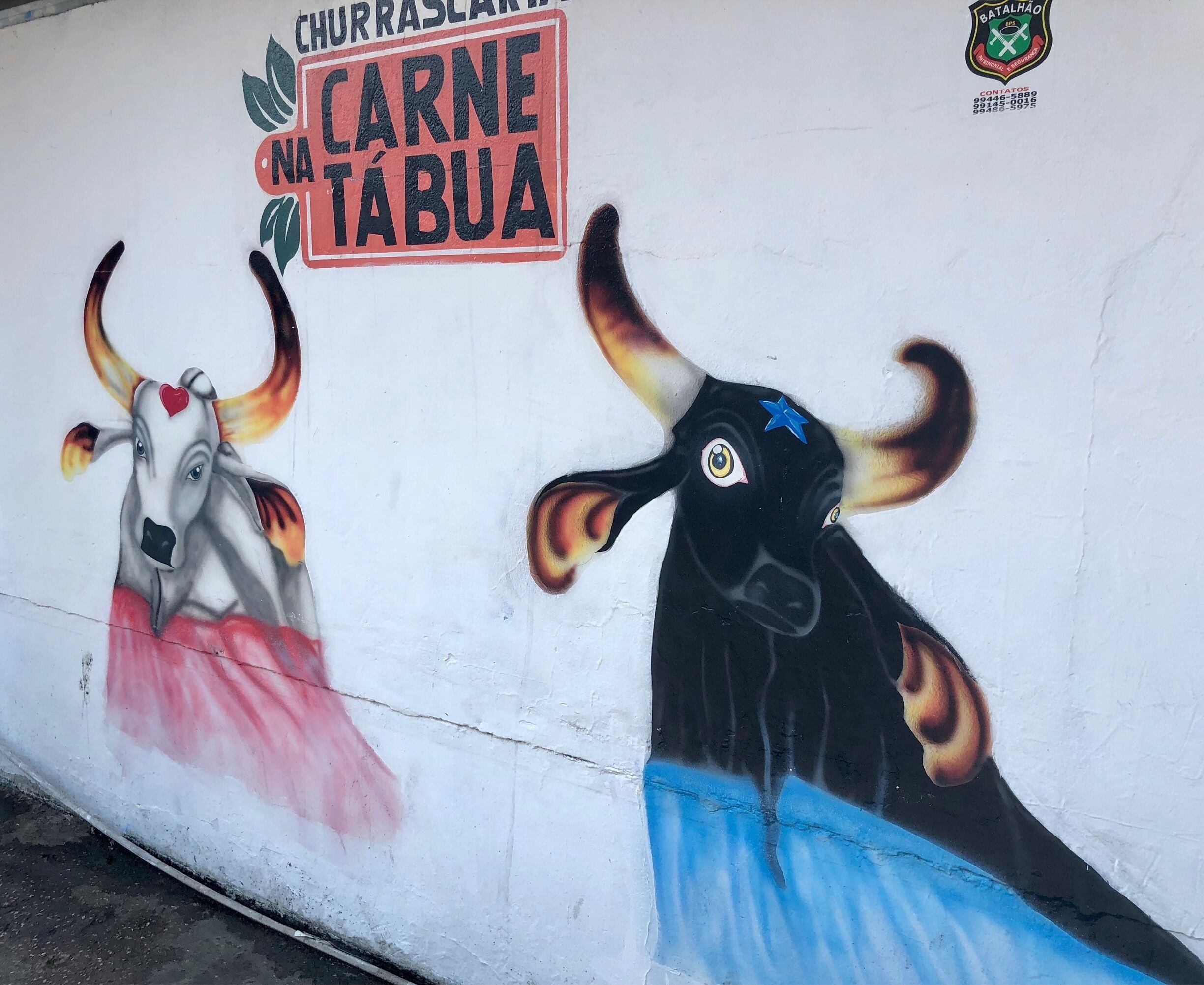 During the third week of June the city of a Parintins hosts the Boi Bumba festival. It is Brazil’s second largest festival which is split between two groups - Red and Blue - and depicts the death and resurrection of an ox. Every where you look in town you see depictions such as these.