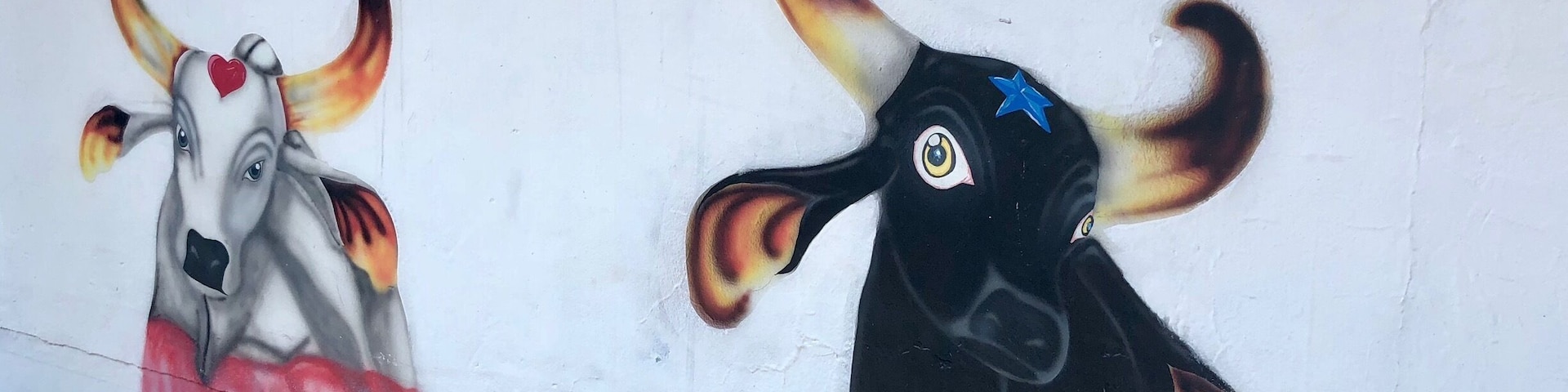 During the third week of June the city of a Parintins hosts the Boi Bumba festival. It is Brazil’s second largest festival which is split between two groups - Red and Blue - and depicts the death and resurrection of an ox. Every where you look in town you see depictions such as these.