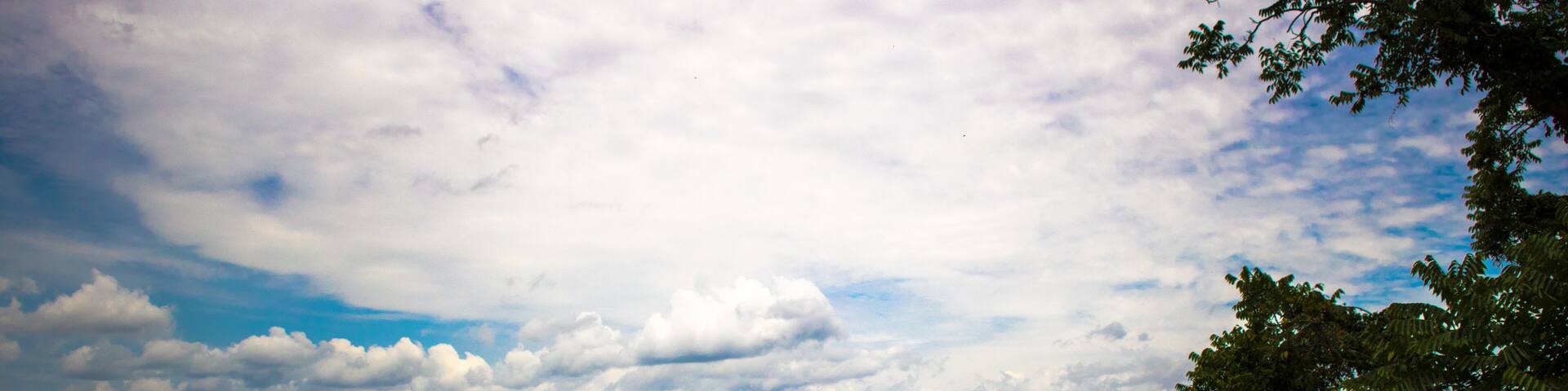 view from the amazon