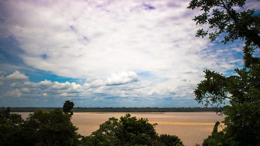 view from the amazon