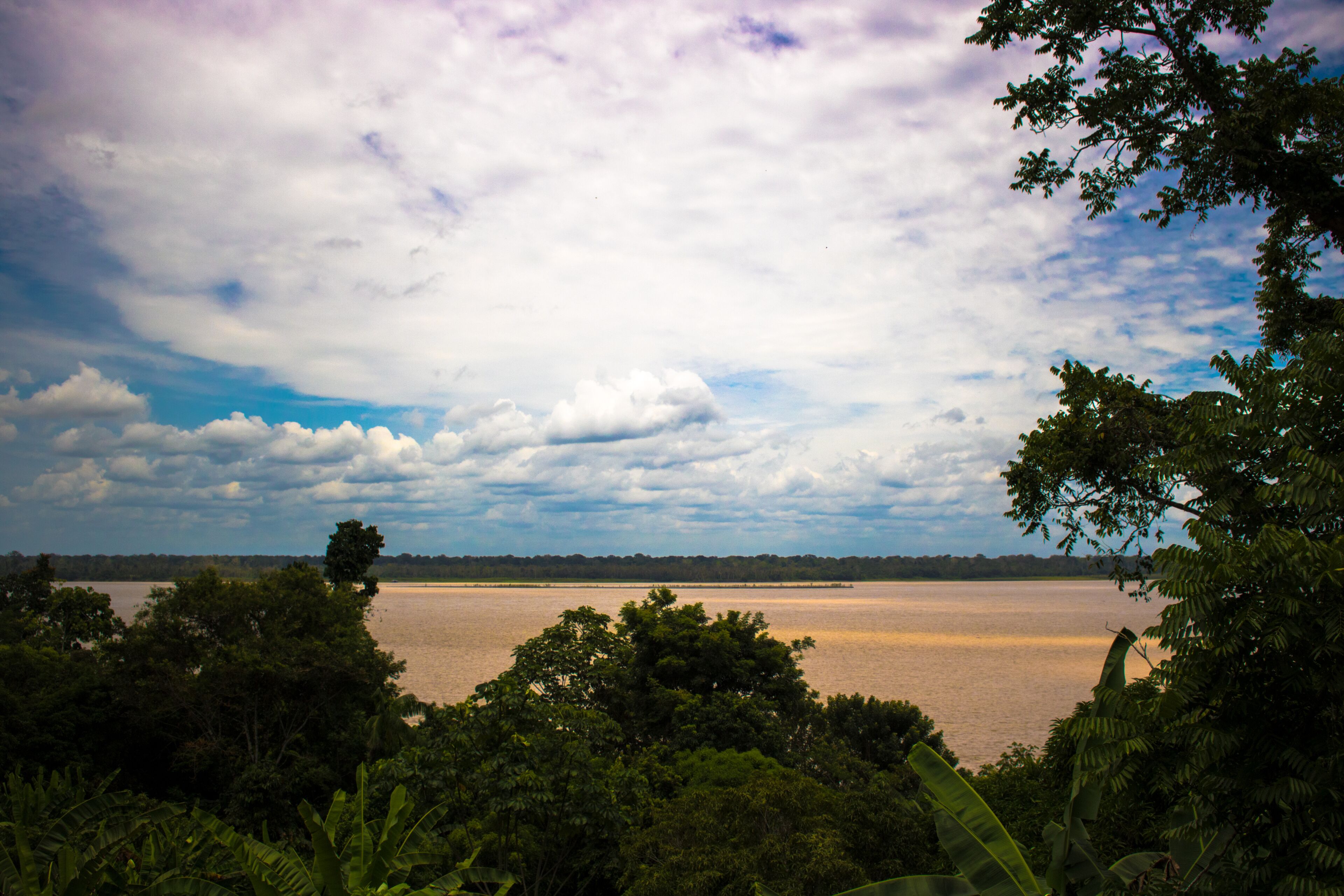 A river surrounded by dense forest and a cloudy sky.