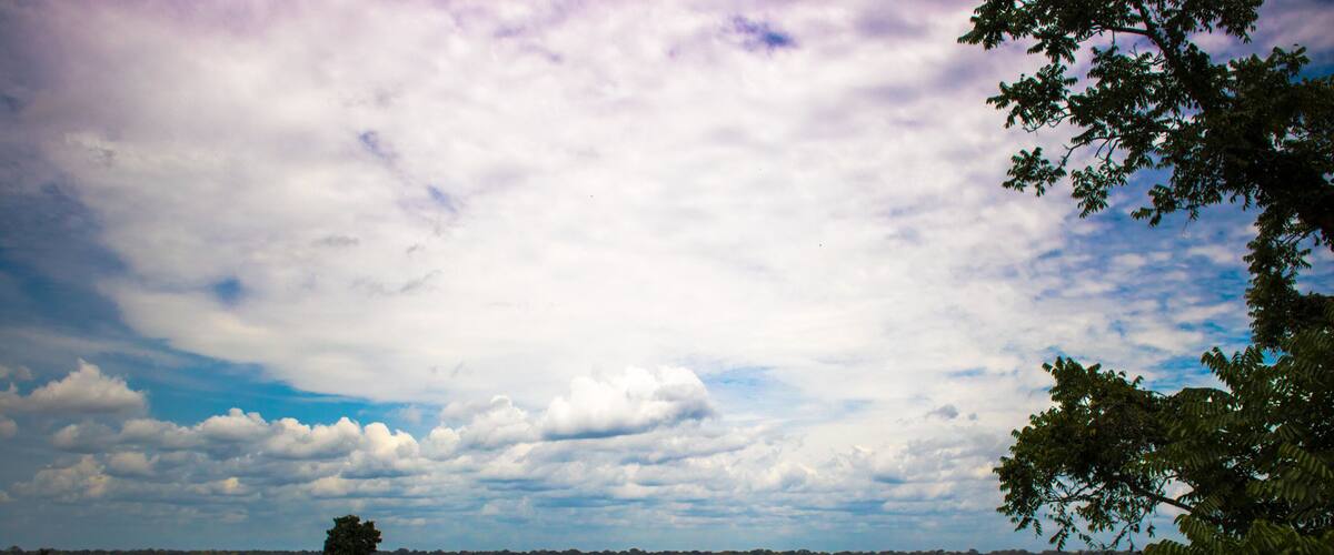 A river surrounded by dense forest and a cloudy sky.
