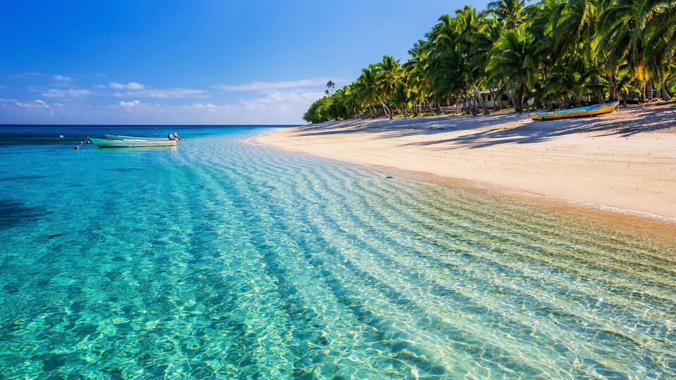 A clear turquoise sea, a sandy beach, and palm trees.