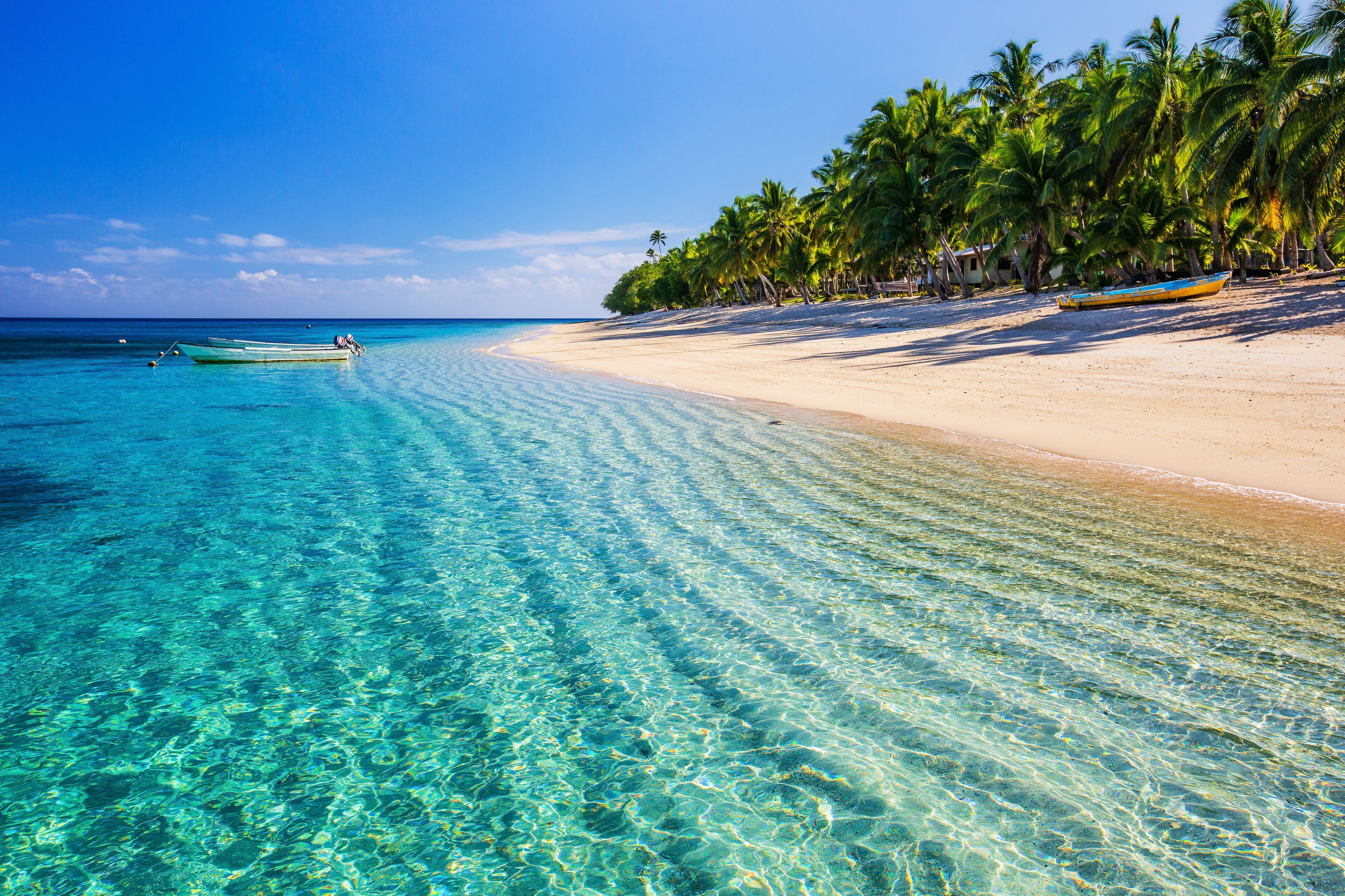 A clear turquoise sea, a sandy beach, and palm trees.