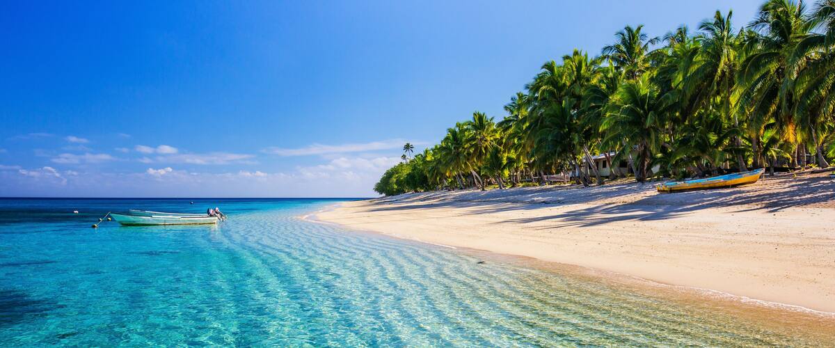 A clear turquoise sea, a sandy beach, and palm trees.