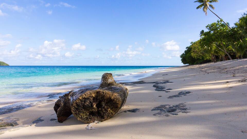 A tropical beach with clear blue water, a large rock, and palm trees.