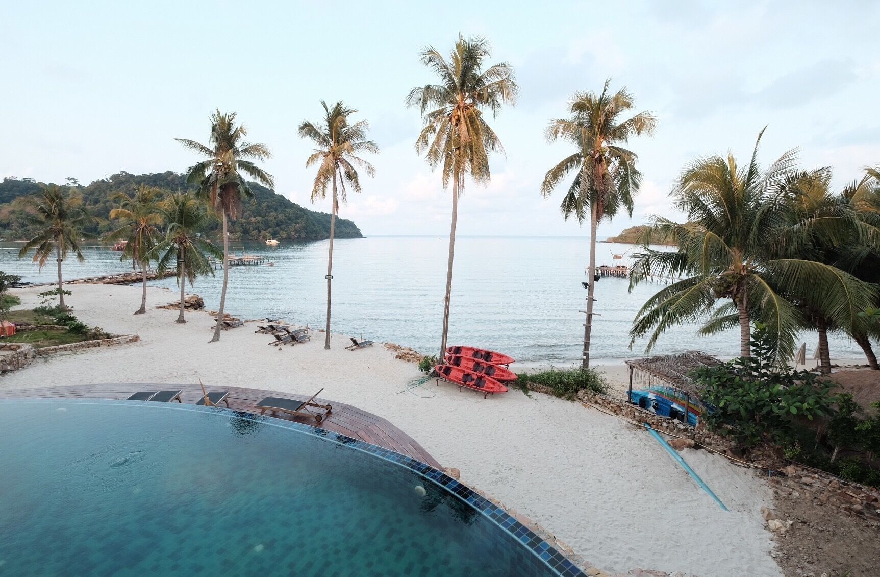 A beach with palm trees, a swimming pool, and a boat in the background.