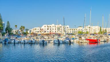 Panorama of the Port