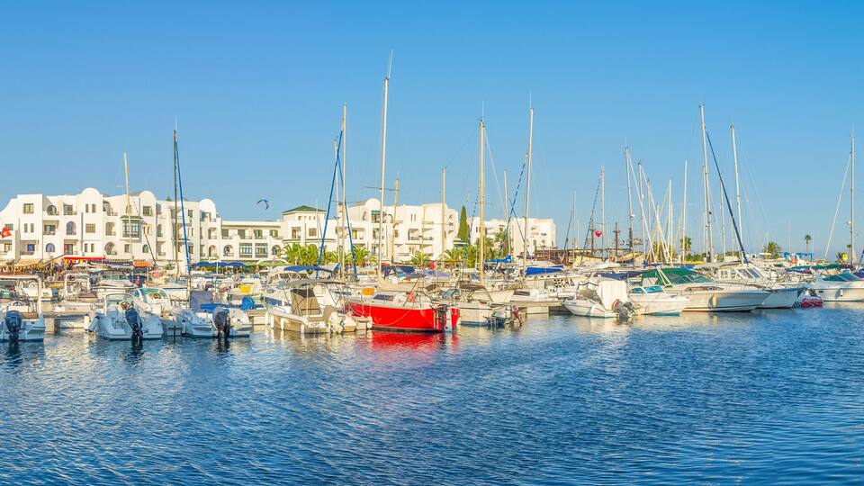 A marina with numerous sailboats docked, surrounded by white buildings and palm trees.