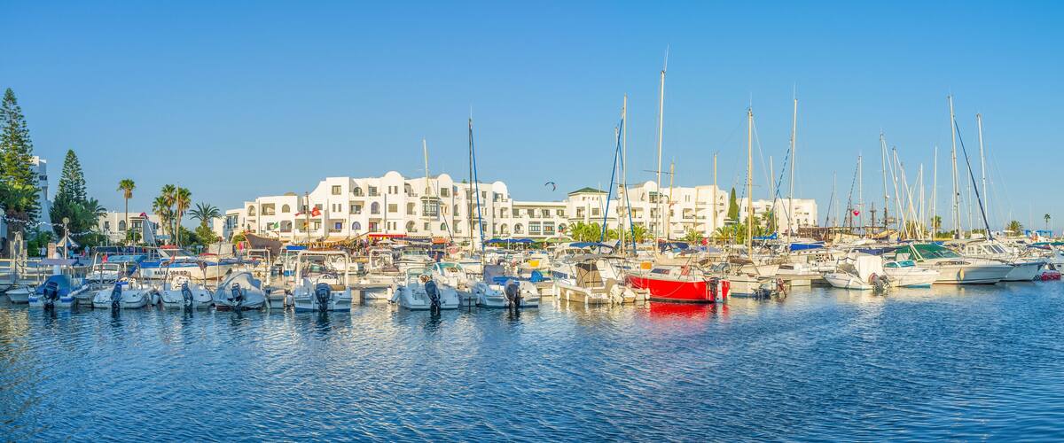 A marina with numerous sailboats docked, surrounded by white buildings and palm trees.