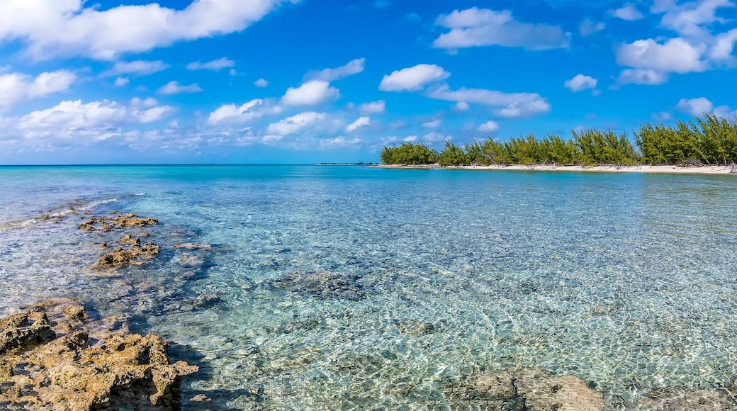 South Palmetto Point