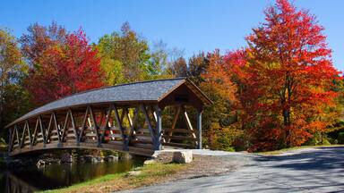 Fall colors in Sunapee, New Hampshire.