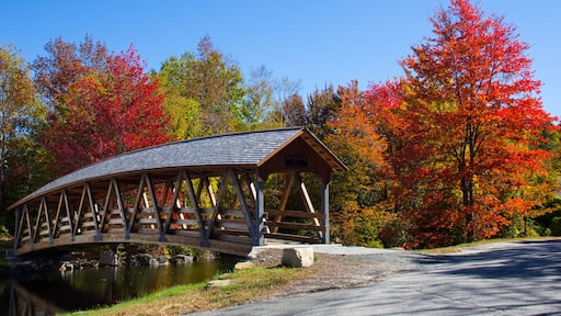 Fall colors in Sunapee, New Hampshire.