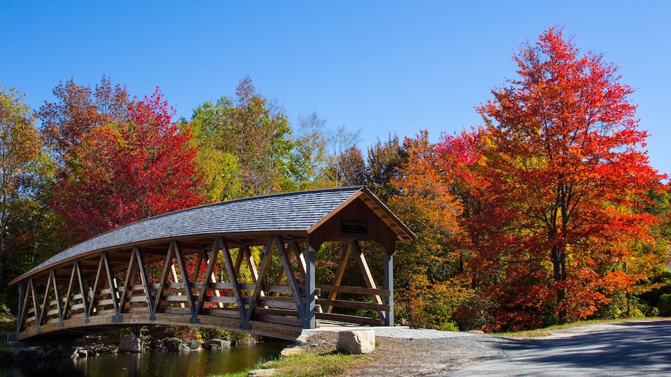 A wooden covered bridge over a calm river, surrounded by autumn foliage.