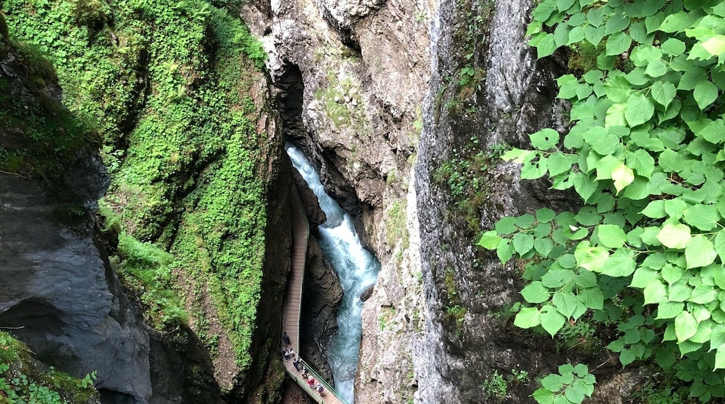 Topview of the Breitachklamm
#hiking
#Aquatrover