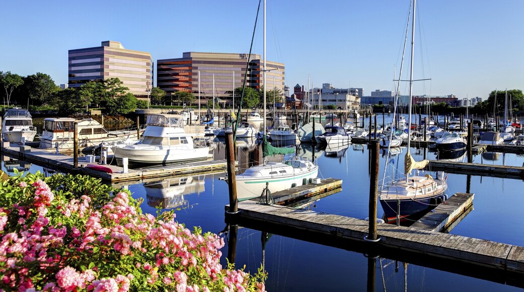 Stamford is a city in Fairfield County, Connecticut with a population of 125,109, making it the third largest city in the state