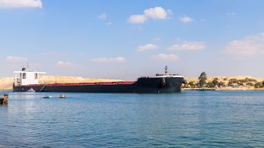 Bulk carrier ship with black hull passes the Suez Canal