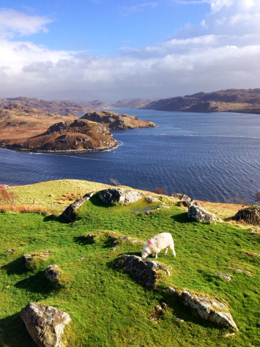 View from the garden I of our holiday house at Kinlochbervie overlooking Loch Inshard. 