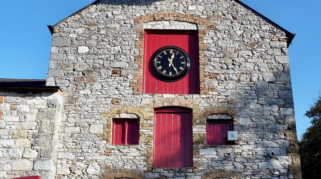 The clock at Jameson's Distillery, Midleton, County Cork, Ireland. Great tour and 'sampling'!
#instone