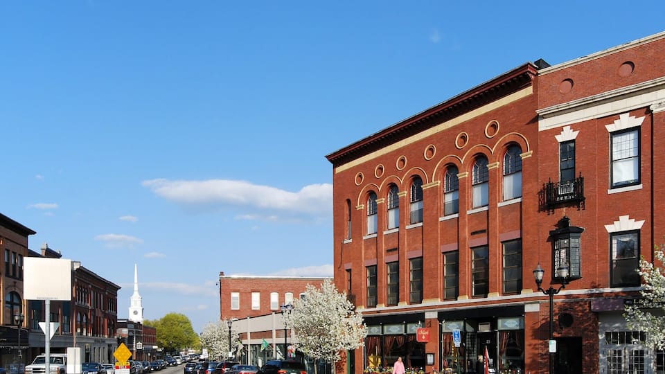 A street lined with historic brick buildings, a clock tower, and blooming trees.