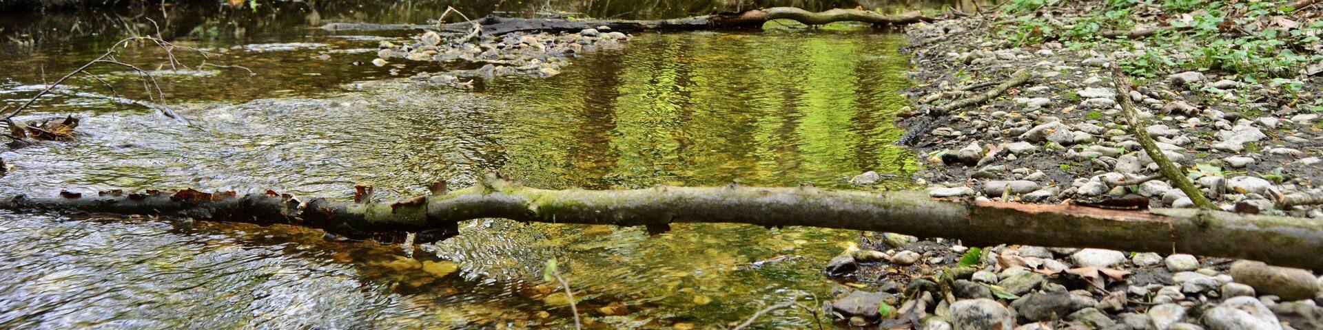 Parthe river, FFH 4741-301 Laubwaldgebiete der Oberen Partheaue (deciduous woodlands of the Upper Parthe meadows), Naunhof-Lindhardt