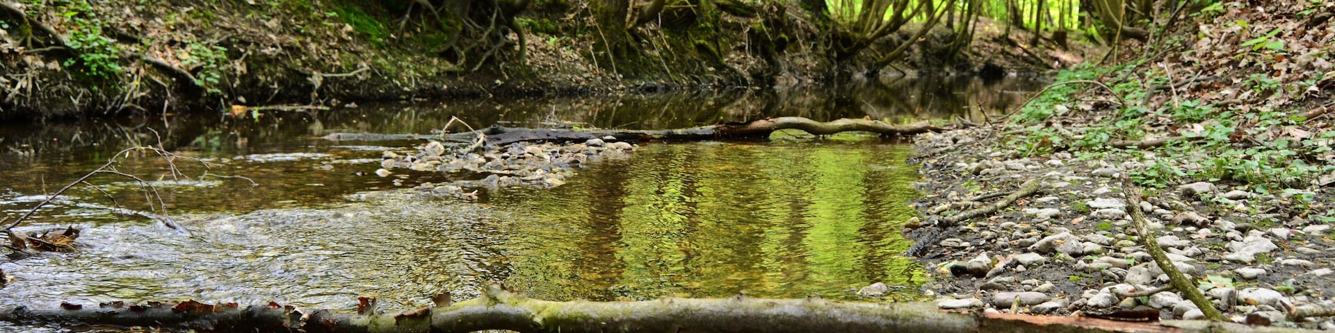 Parthe river, FFH 4741-301 Laubwaldgebiete der Oberen Partheaue (deciduous woodlands of the Upper Parthe meadows), Naunhof-Lindhardt