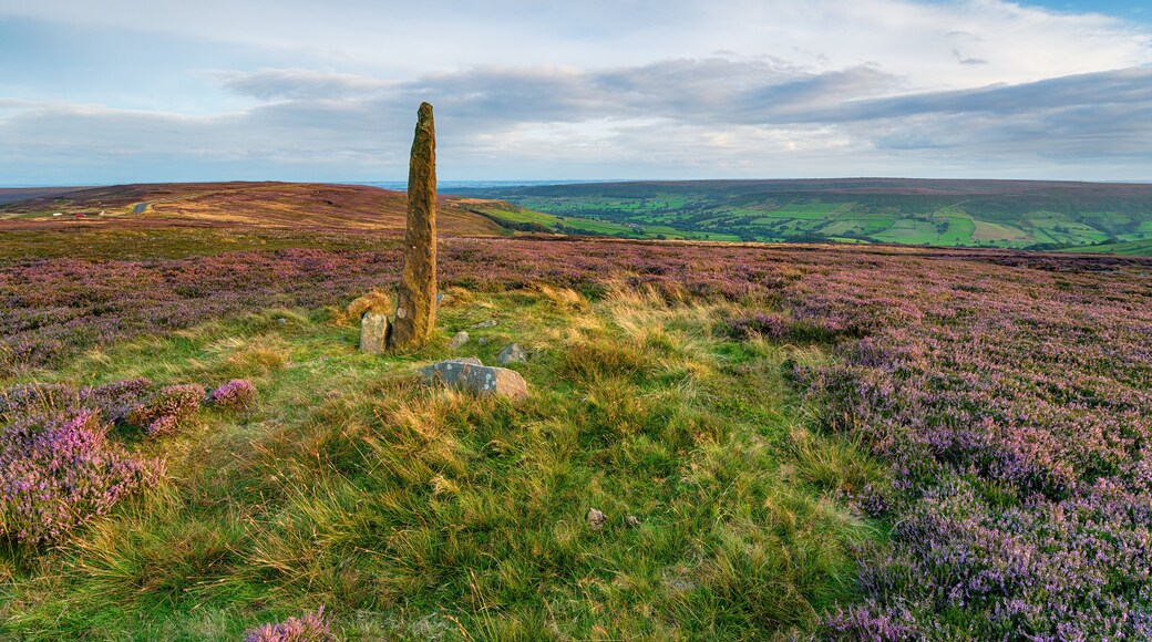 An ancient standing stone on Blakey Ridge