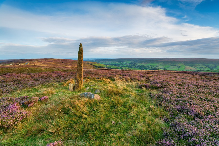 An ancient standing stone on Blakey Ridge
