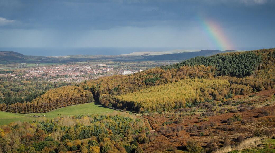 View from the summit of Roseberry Topping, Yorkshires Matterhorn, with a rainbow arcing over Guisborough under a moody sky, North York Moors National Park, UK