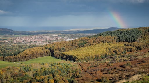 View from the summit of Roseberry Topping, Yorkshires Matterhorn, with a rainbow arcing over Guisborough under a moody sky, North York Moors National Park, UK