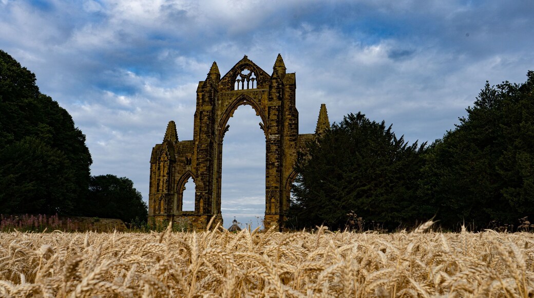 Aerial view of Guisborough Priory historic ruins behind growing wheat in the UK