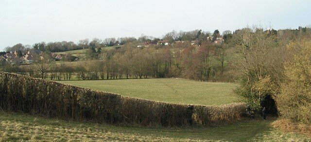 Fields South Of Ticehurst, East Sussex. A view across fields to Ticehurst, from a footpath from Pashley Road to the Cherry Tree pub in Ticehurst.